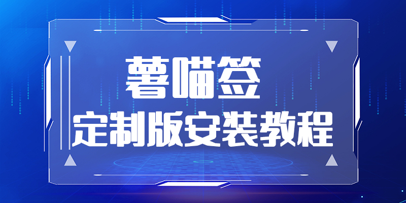 定制版安装教程